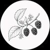 quinniemulberry